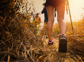 33ème Randonnée Campagnarde des Godelons