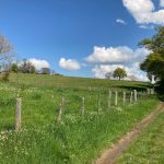 © Sentier Saint-Loup_Panissières - OT Forez-Est