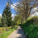 © Sentier Saint-Loup_Panissières - OT Forez-Est