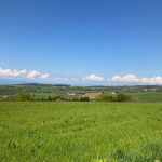 © Sentier Le Panorama_Panissières - OT Forez-Est