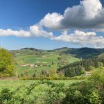 © Sentier Le Panorama_Panissières - OT Forez-Est