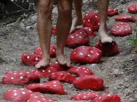 Barefoot walking path