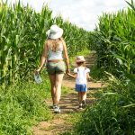 Anniversaire à la Ferme - Pour un anniversaire inoubliable avec les copains !_Saint-Cyr-les-Vignes