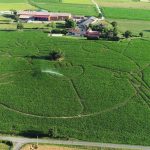 Anniversaire à la Ferme - Pour un anniversaire inoubliable avec les copains !_Saint-Cyr-les-Vignes