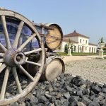 © Verveine du Forez - Verveine du Forez