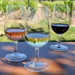 © verre de vin - Evelyne Deveaux