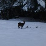 © Gite Vert'in - sauzea