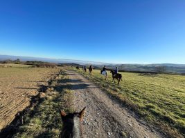 Randonnées à cheval - Centre Equestre Régional du Forez