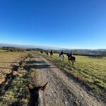 © Centre Equestre Régional du Forez- CERF-Marcoux - France