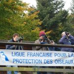 © Col de Baracuchet observatory - LPO LOIRE