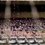 © Winzer Gilles Bonnefoy- Domaine de La Madone - SCEA les vins de la Madone - Studio d'URFE