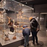 © Musée d'Allard - Musée d'Allard