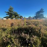 © Miellerie des Monts du Forez - MARNAT