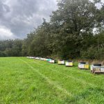 © Miellerie des Monts du Forez - MARNAT