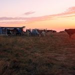 © traite_mobile.jpg - Lucie Verdier - CEN RA