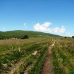 © Réserve naturelle régionale des Jasseries de Colleigne - Anne Massip - OT Loire Forez