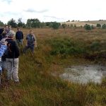 © Animation tourbière - Lucie Verdier