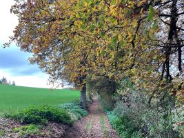 Sentier Les coteaux de Valeille