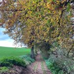 © Sentier Les coteaux de Valeille_Valeille - OT FOREZ-EST