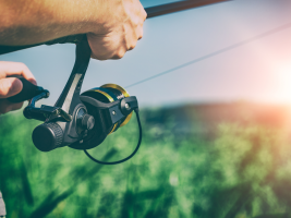 Parcours de pêche No-Kill