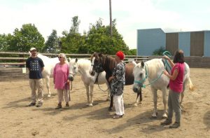 BiodynamiCaval - Section Thérapie du SLEM