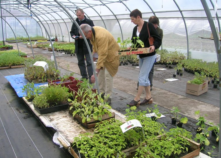 © Oasis garden - Oasis, jardin de Cocagne