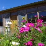 © Oasis garden - Oasis, jardin de Cocagne