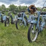 © Forez’Cursion Retro - Location véhicules anciens 2CV et Mobylettes - S.A.S Forez’Cursion Retro