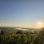 © 20250919_080312.jpg - Logel