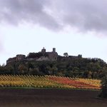 © 20251024_151016.jpg - Logel