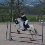 © Randonnées à cheval - Centre Equestre Régional du Forez_Marcoux - Centre Equestre Régional du Forez_Marcoux