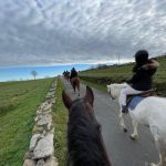 © Randonnées à cheval - Centre Equestre Régional du Forez_Marcoux - Centre Equestre Régional du Forez_Marcoux