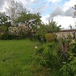 © La Provende - giraud anne marie