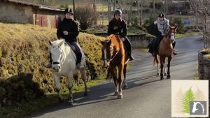 activités équestres - balades - médiation équine