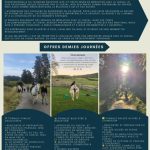 © Balade à poneys - valentin