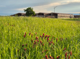 Ferme des Délices Foréziens