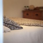 © Gîte l'Etab' - Grognier K.