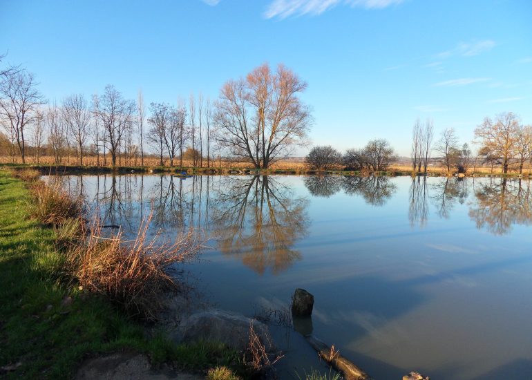 © Etangs Guillaume_Mizérieux - OT Forez-Est