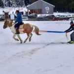 © Ski joëring - Agathe Courtois 