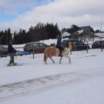 © Ski joëring - Agathe Courtois 