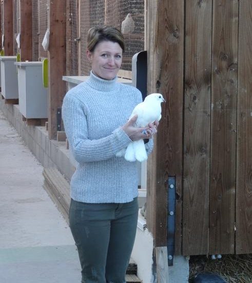 © Le pigeonnier d'Urfé - sandre.giboreau@gmail.com