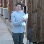 © Le pigeonnier d'Urfé - sandre.giboreau@gmail.com