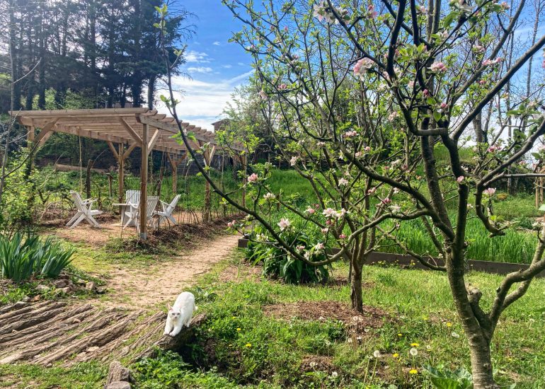 © Jardin médiéval - Marion Mounier