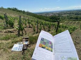 Enquête game de Champdieu : Meurtre dans le vignoble