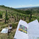 © Enquête game de Champdieu - Mairie de Champdieu