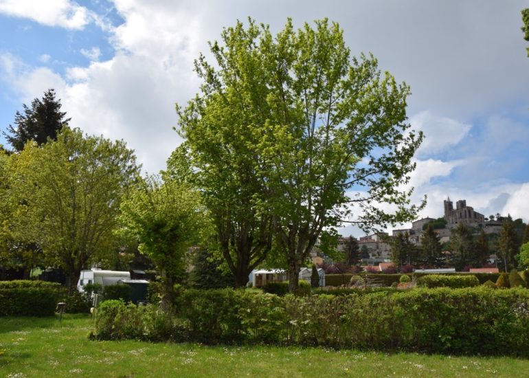 © Camping de la belle Etoile - Ellen Feld