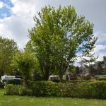 © Camping de la belle Etoile - Ellen Feld