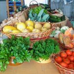 © Oasis garden_Saint-Just Saint-Rambert - Oasis