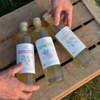 Maison 16 - Distillerie de la Loire