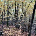 © Aventures et vous !_5 - Pierre Second